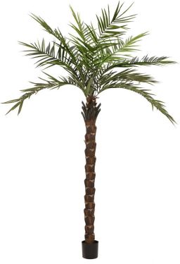 Europalms Kentia palm tree deluxe, artificial plant, 300cm