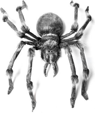 Europalms Monsterspider ca.130cm