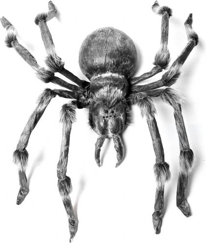 Europalms Monsterspider ca.130cm