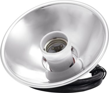 Eurolite Raylight PAR-46, E-27