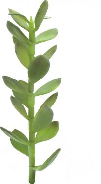 Europalms Money tree shoot, artificial plant, 30cm