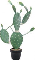 Udsmykning & Dekorationer, Europalms Nopal cactus, artificial plant, 76cm