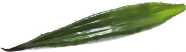 Europalms Aloe leaf (EVA), artificial, green, 60cm
