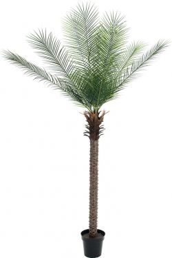 Europalms Phoenix Palm Deluxe, artificial plant, 220cm