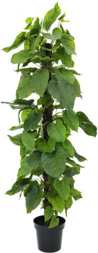 Europalms Pothos plant, artificial, 180cm