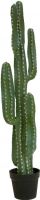 Europalms Mexican cactus, artificial plant, green, 123cm