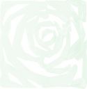 Udsmykning & Dekorationer, Europalms Room Divider Rose clear 4x Udsmykning & Dekorationer, Europalms Room Divider Rose clear 4x