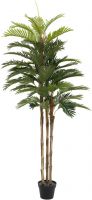 Brands, Europalms Kentia palm tree, artificial plant, 150cm Brands, Europalms Kentia palm tree, artificial plant, 150cm
