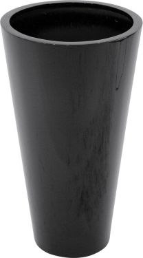 Europalms LEICHTSIN ELEGANCE-69, shiny-black