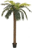 Europalms Phoenix Palm Deluxe, artificial plant, 300cm