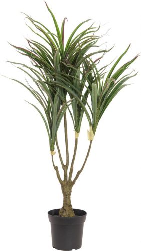 Europalms Dracena, green-red, artificial,  90cm