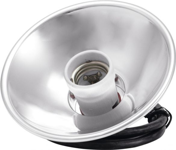 Eurolite Raylight PAR-46, E-27