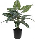 Decor & Decorations, Europalms Caladium, artificial plant, 38cm