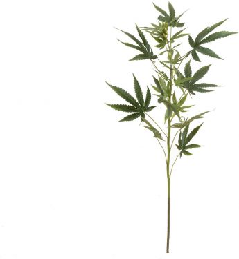 Europalms Cannabis-spra, artificial plant, 90cm