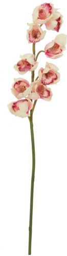 Europalms Cymbidium branch, artificial, creme-pink, 90cm
