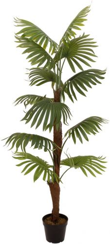 Europalms Fan Palm, artificial plant, 155cm