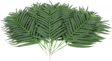 Europalms Coconut palm branch, artificial, 80cm 12x