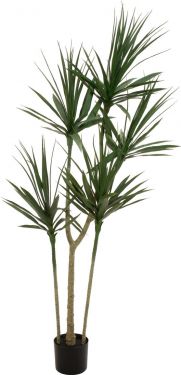 Europalms Dracaena, artificial plant, green, 170cm