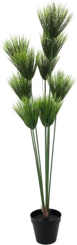 Europalms Papyrus plant, artificial, 150cm