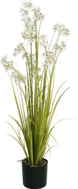 Europalms Jasmin grass, artificial plant, white, 130 cm