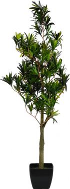 Europalms Podocarpus tree, artificial plant, 90cm