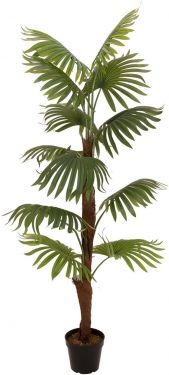 Europalms Fan Palm, artificial plant, 155cm