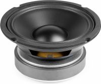 WP16 Woofer PP Foam Hi-Fi 16cm/100W