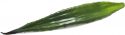 Udsmykning & Dekorationer, Europalms Aloe leaf (EVA), artificial, green, 60cm