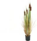 Decor & Decorations, Europalms Bulrush, artificial plant, 150cm