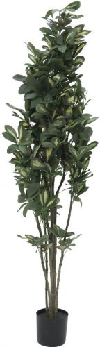 Europalms Schefflera, artificial,120cm