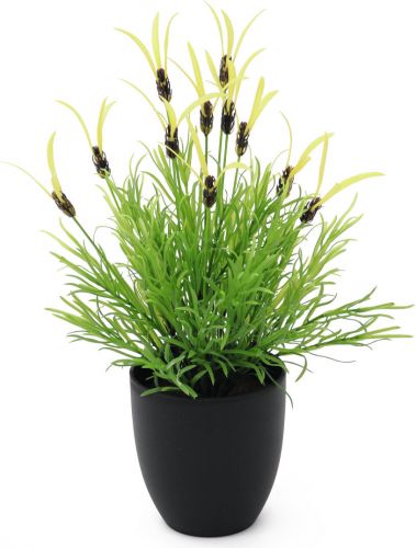 Europalms Feather lettuce, artificial, 40cm