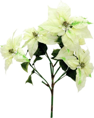 Europalms Poinsettia bush, cream, 60cm