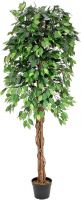 Europalms Ficus Tree Multi Trunk, artificial plant, 180cm