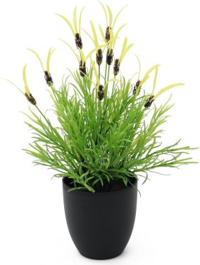 Europalms Feather lettuce, artificial, 40cm