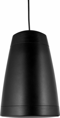 Purity6B Premium Pendant Speaker 100V 6.5” Black