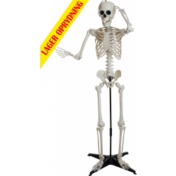 Halloween Dekoration, Klassisk Skelet, 150cm TILBUD NU
