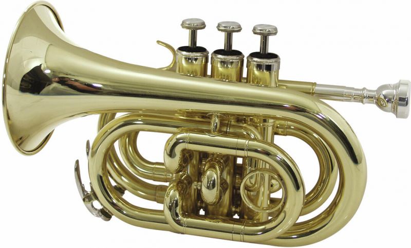 Dimavery TP-300 Bb Pocket Trumpet, gold