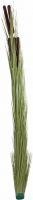 Udsmykning & Dekorationer, Europalms Reed grass with cattails,light green, artificial, 152cm