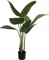 Europalms Strelitzia, artificial plant, 110cm