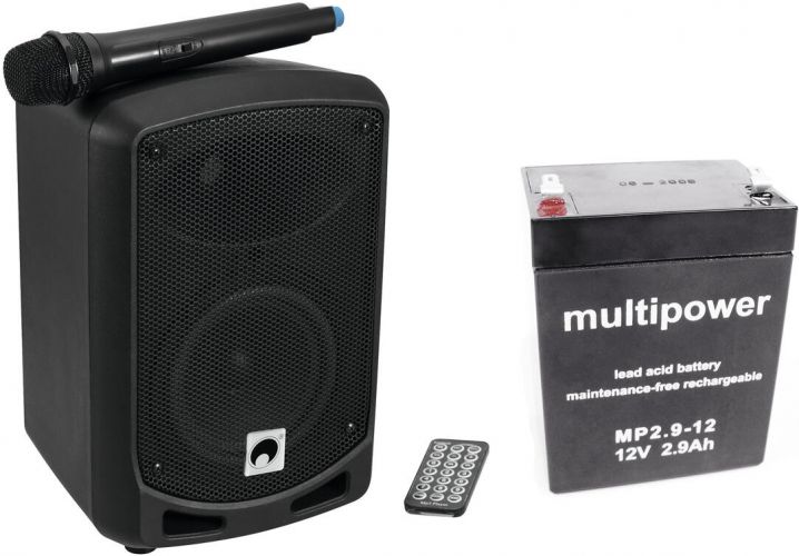 Omnitronic Set WAMS-65BT + Battery