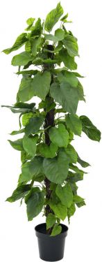 Europalms Pothos Plant, artificial plant, 180cm
