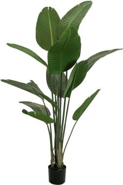 Europalms Strelitzia, artificial plant, 170cm