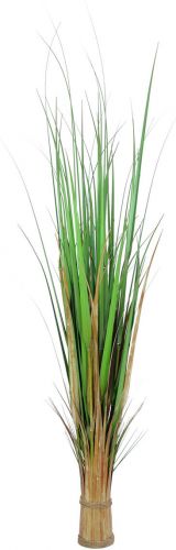 Europalms Fox grass, artificial, 150cm
