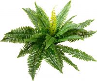Europalms Boston Fern, artificial plant,53cm