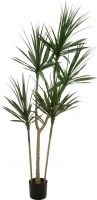 Europalms Dracaena, artificial plant, green, 170cm