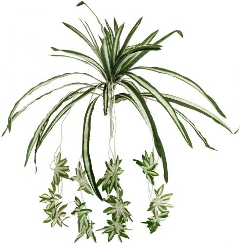 Europalms Spider plant, artificial, 60cm