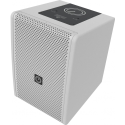INTUSONIC 6FP100T 6.5" 2-way Fullrange Speaker white TILBUD NU