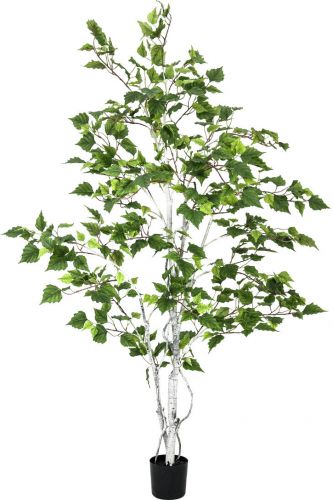 Europalms Birch Tree, artificial plant, 150cm