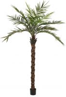 Europalms Kentia palm tree deluxe, artificial plant, 300cm