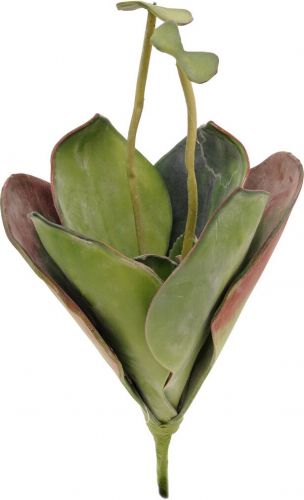 Europalms Water Lily (EVA),artificial plant, closed, green, 45cm